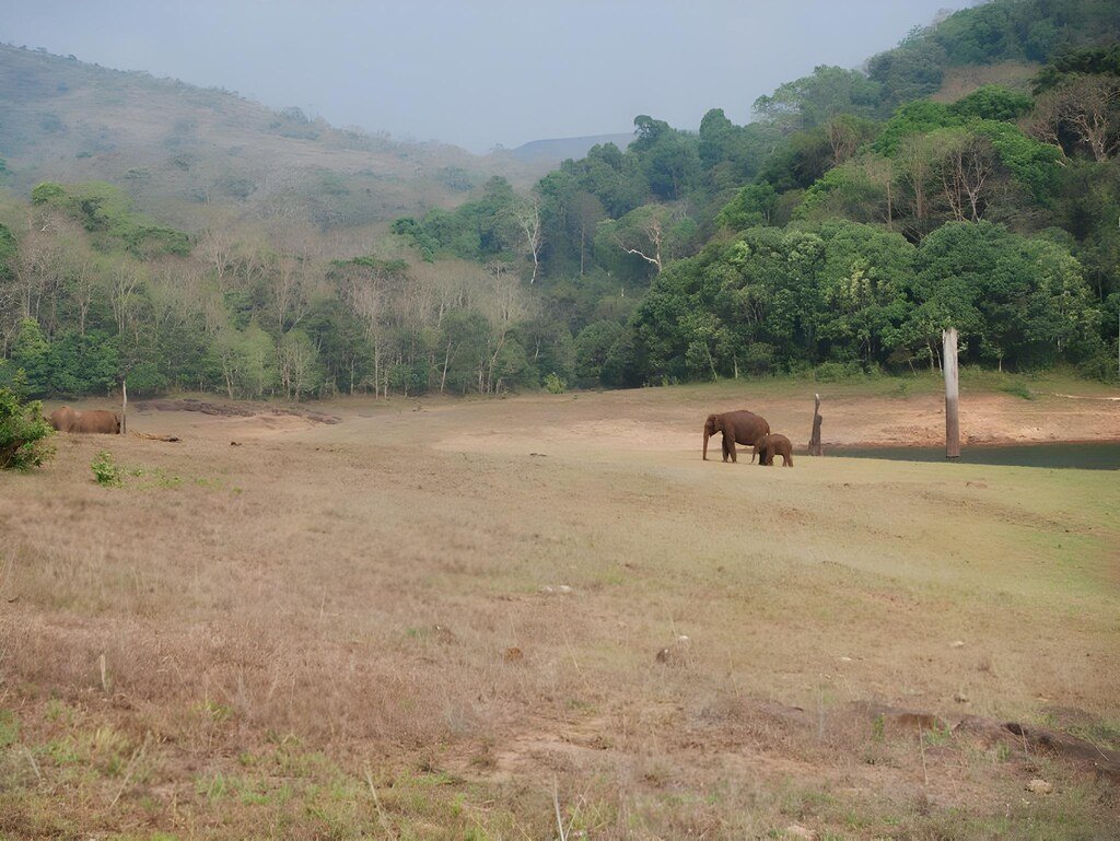 Meghamalai Hills
